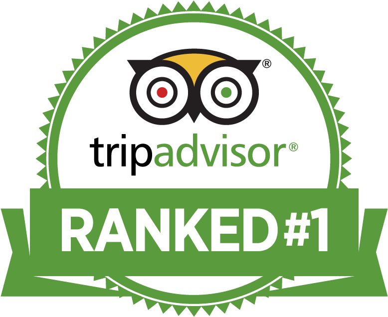 tripadvisor